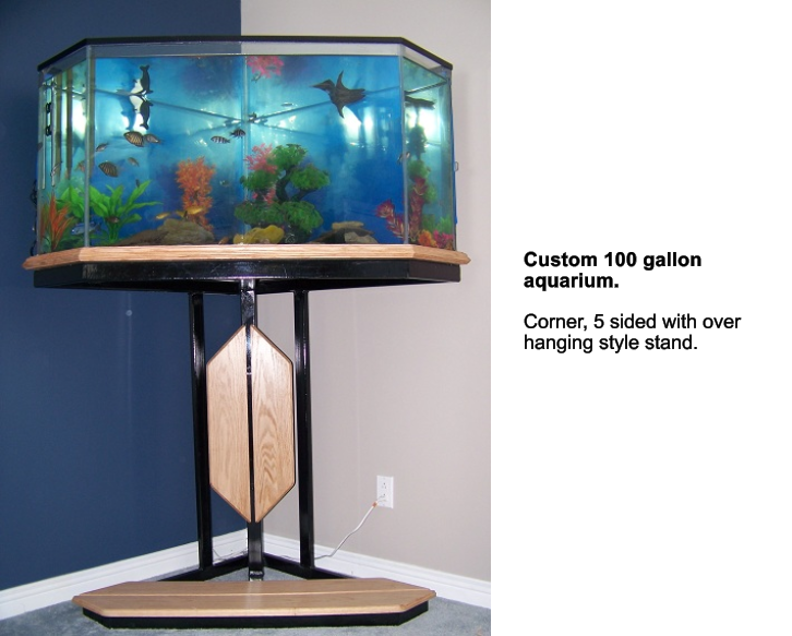 Custom Aquarium